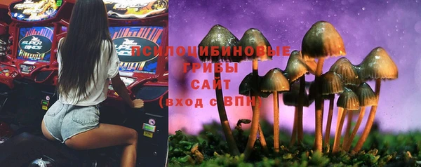 MDMA Premium VHQ Волоколамск