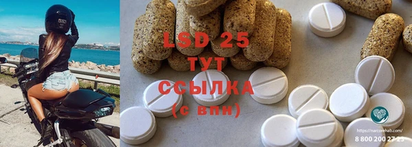 ПСИЛОЦИБИНОВЫЕ ГРИБЫ Верея