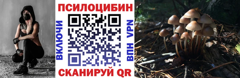 MEGA как зайти  Богородицк  Псилоцибиновые грибы MAGIC MUSHROOMS 
